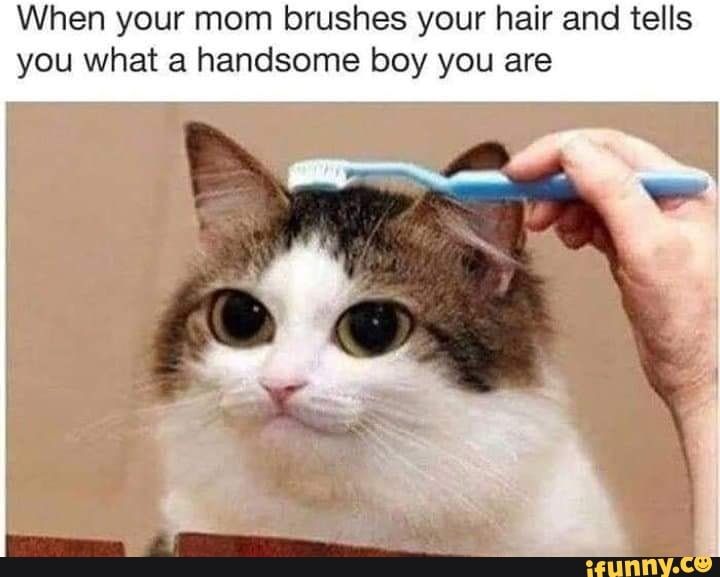 9353f21caffdbd8bed673425a9c7fcfe.jpg