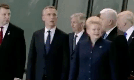 תוצאת תמונה עבור trump gif gert in