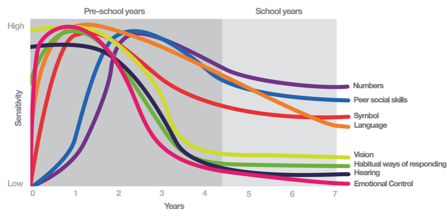 graph1.png