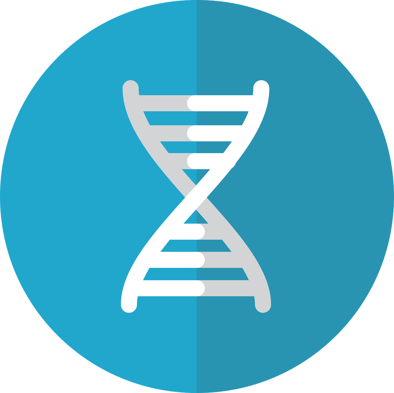 mygeneroots.online