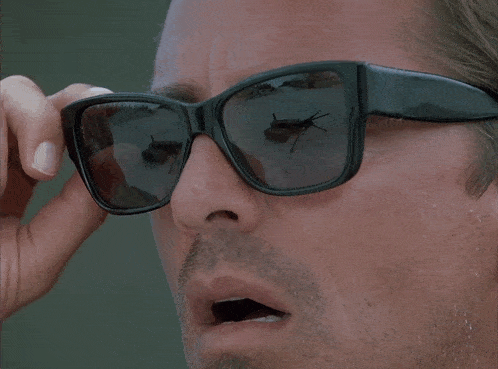 miami-vice-omg-miami-vice.gif