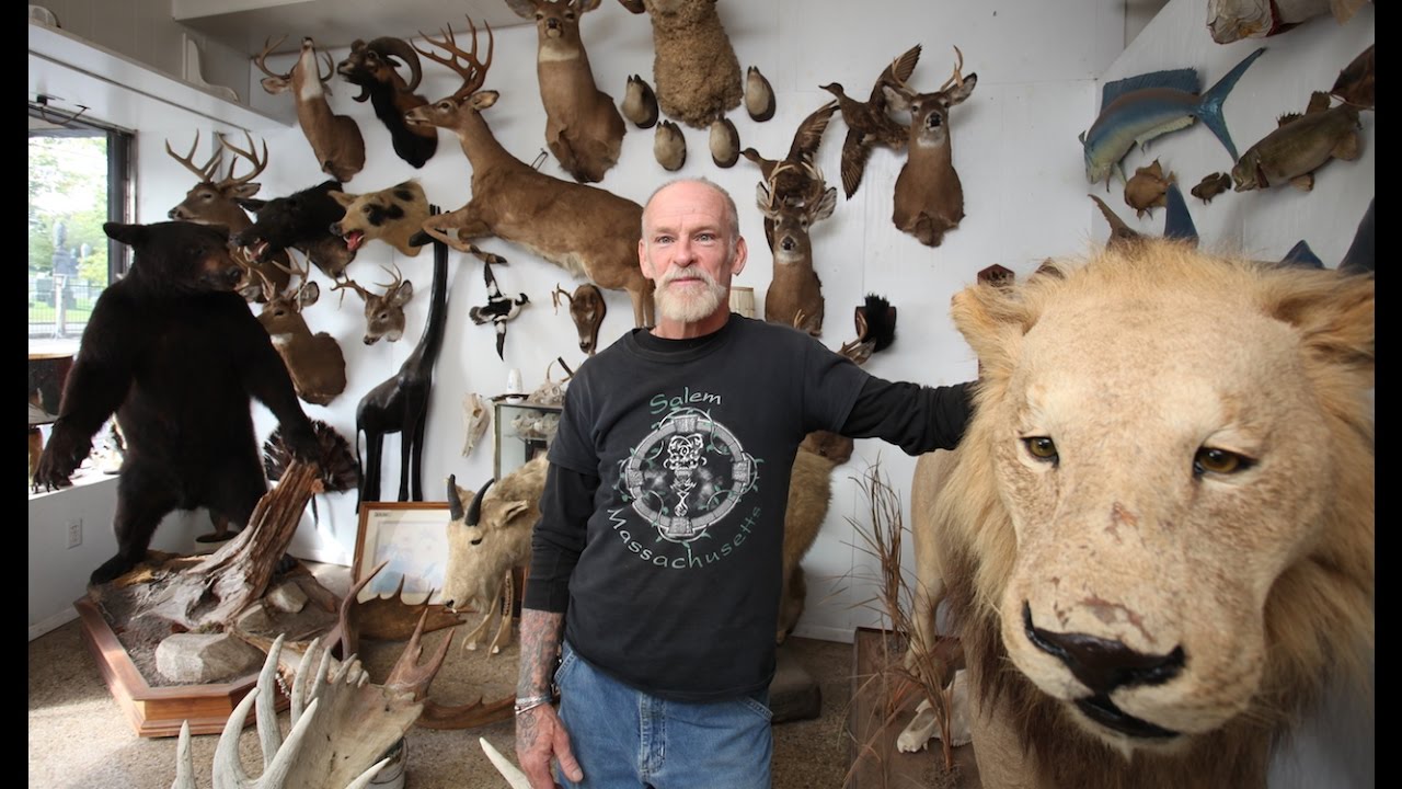 The Last Taxidermist In New York - YouTube