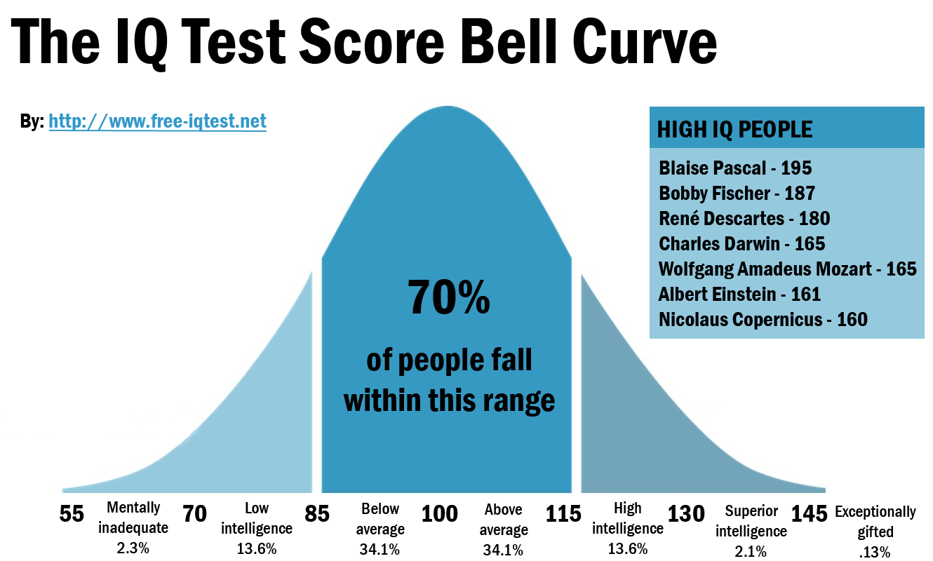 www.free-iqtest.net