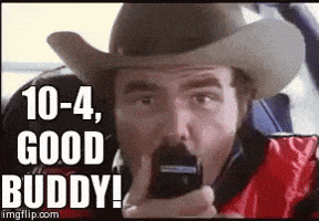 burt reynolds roger GIF