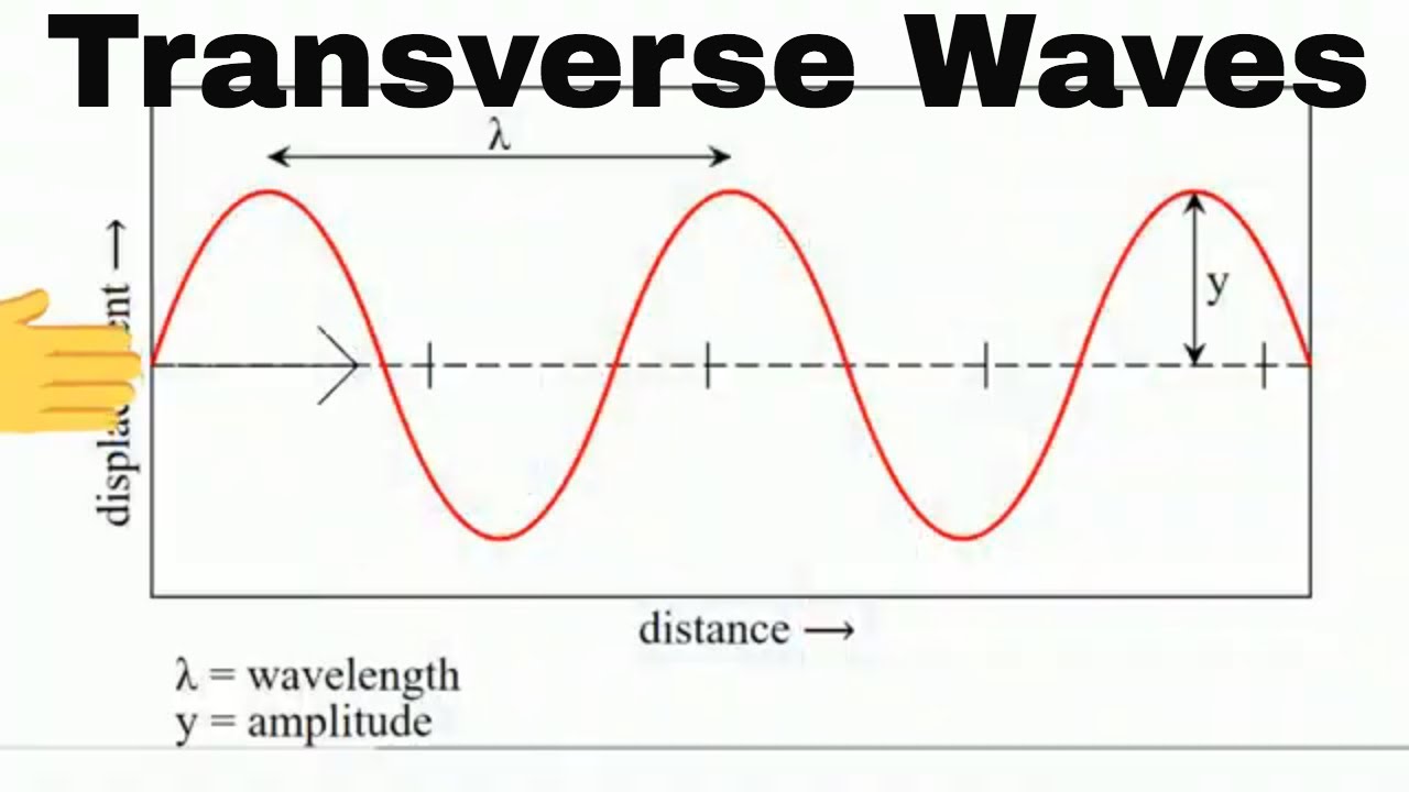 Anatomy of a Transverse Wave? - YouTube