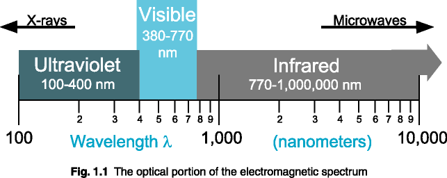 fig1-1.gif