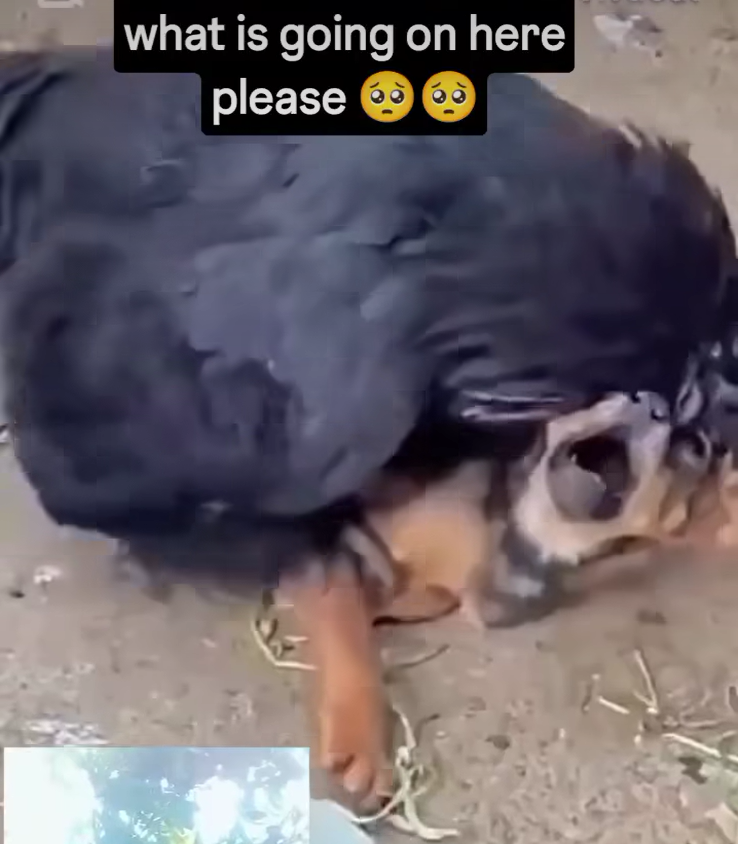 1750689165942