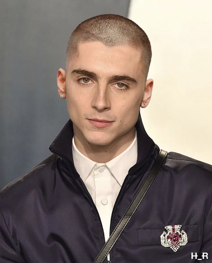 Timothée Chalamet's Shaved Head Is Dividing the Internet - PAPER