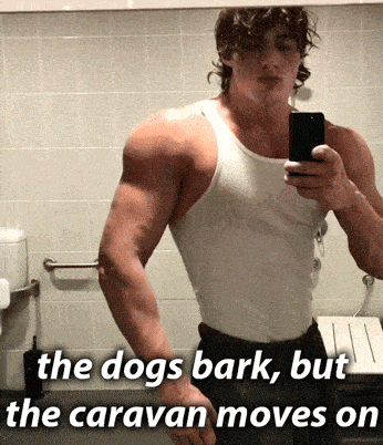 3919777_1706476568931.gif