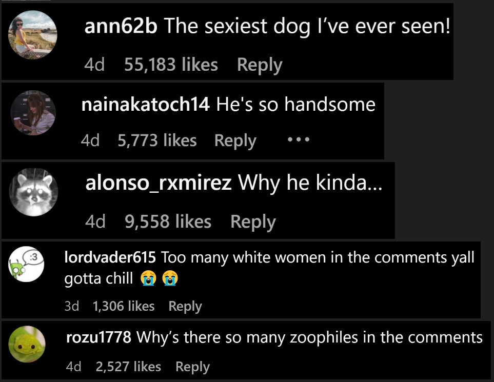 1729452012845