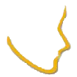 drsteiger.com