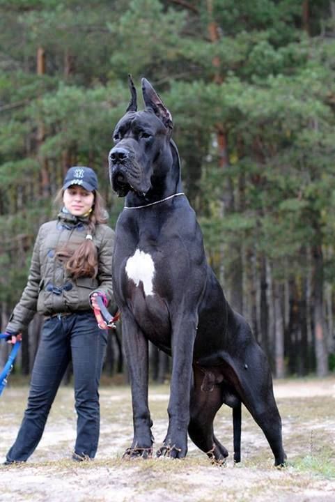 a8a7daef94a516939de0c71d4fe790a8.jpg