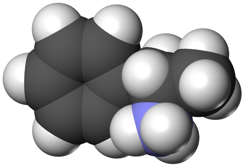 en.wikipedia.org