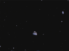 Animation Zoom Out GIF by vhspositive