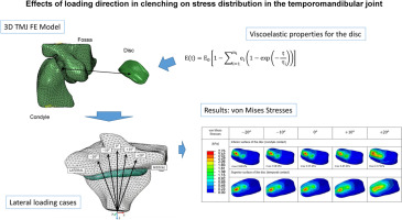 www.sciencedirect.com