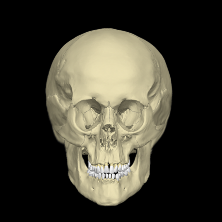 4786038_1742104070858.png