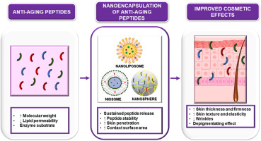 www.sciencedirect.com