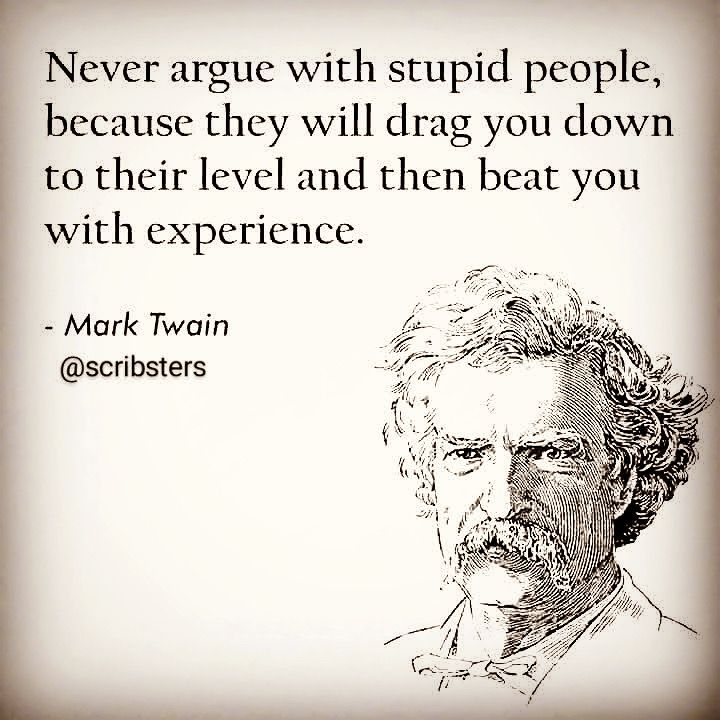 Never argue with a fool. | Mark twain quotes, Einstein ...