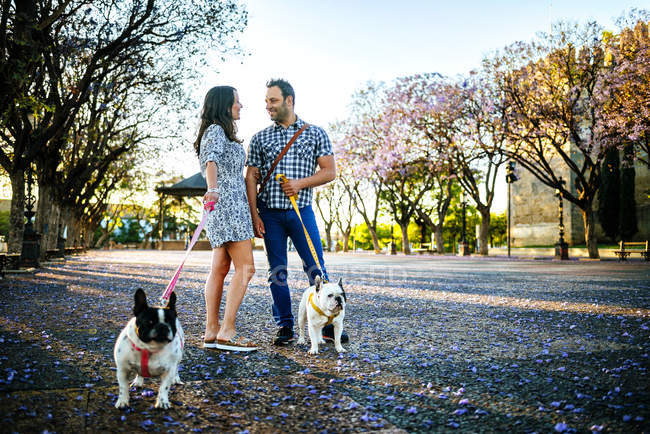 focused_176827018-stock-photo-couple-talking-while-walking-dogs.jpg