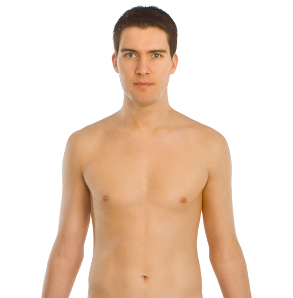 Upper_body_front.png