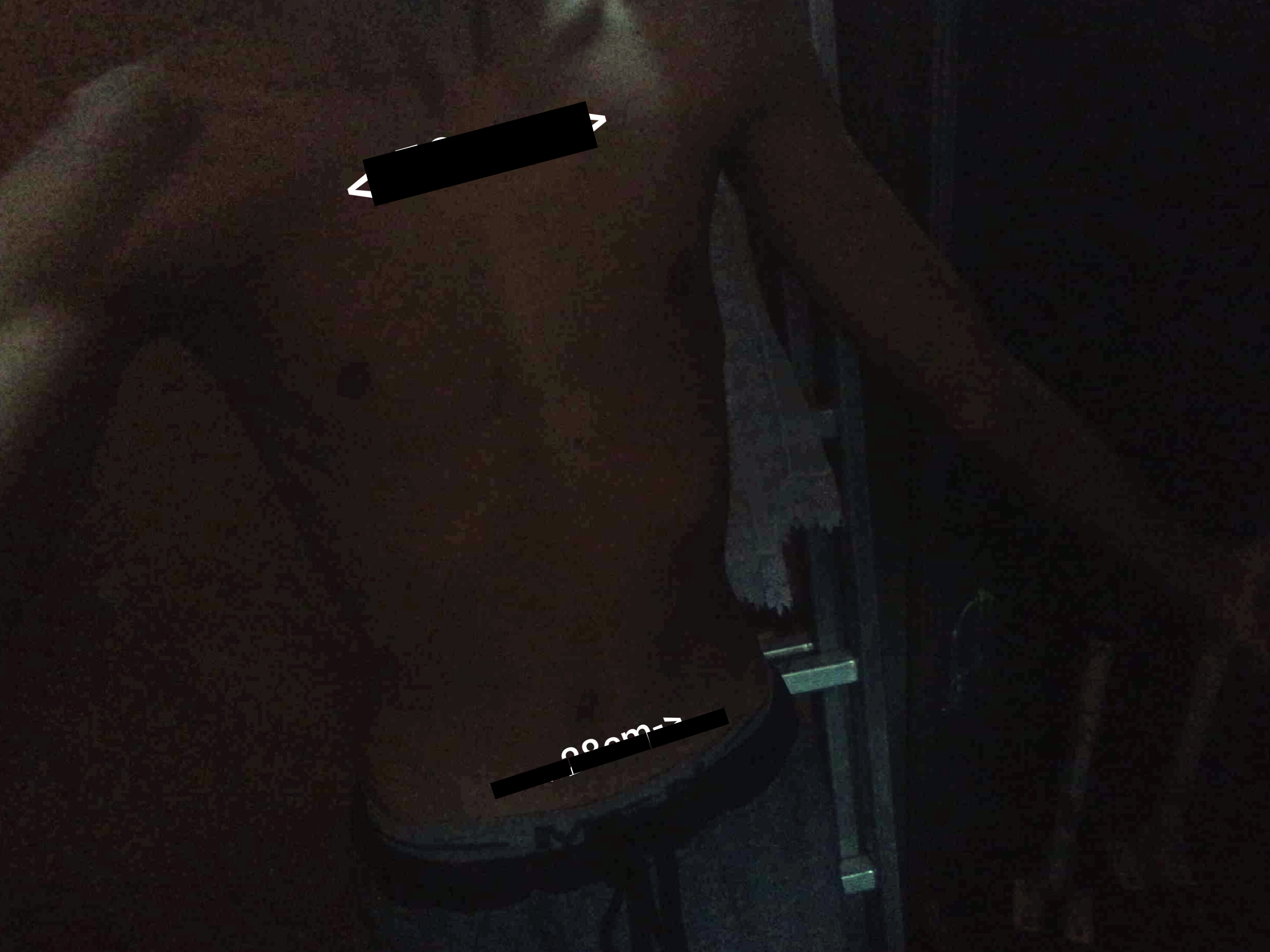 4990289_1000023053.jpg