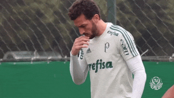 amem GIF by SE Palmeiras
