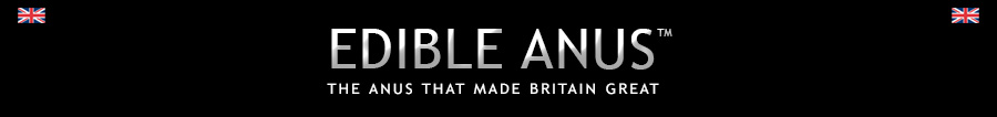 banner.jpg