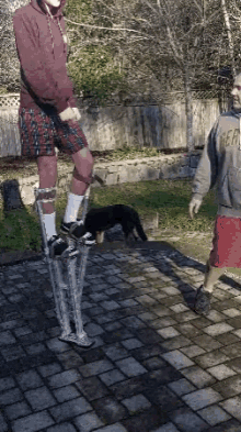 Tall And Short GIFs | Tenor