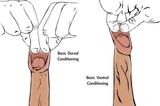 foreskin-restoration-basic-manual-tugging-method-3.jpg