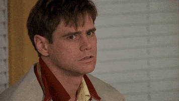Jim Carrey What GIF