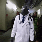 Doctor Pigeon Pigeon Doctor GIF - Doctor pigeon Pigeon doctor Aura -  Discover & Share GIFs