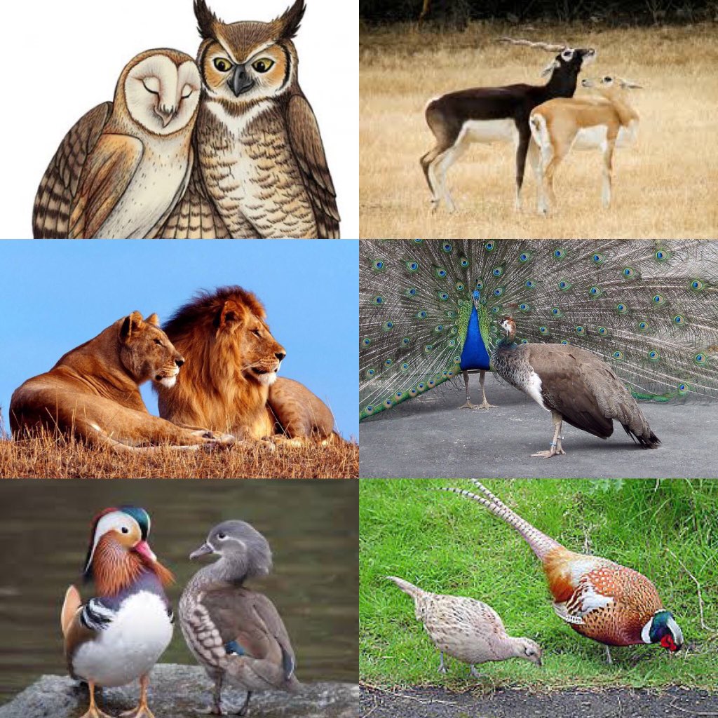 Dd90nRgVwAMya0O.jpg:large
