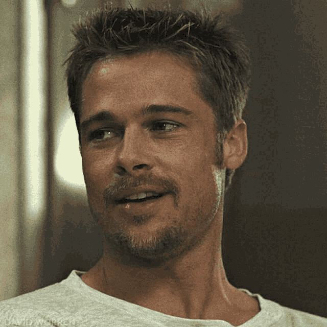 brad-pitt-amused.gif