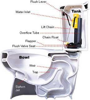 anatomy-of-toilet.jpeg