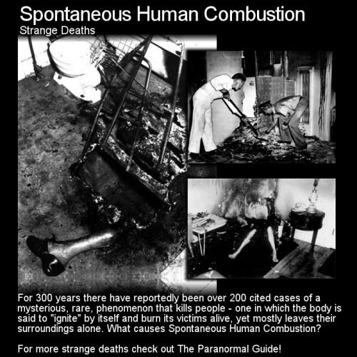 theparanormalguide
