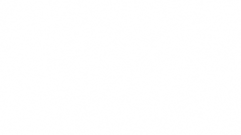 giphy.gif