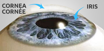 Change your eye color | LEC Paris