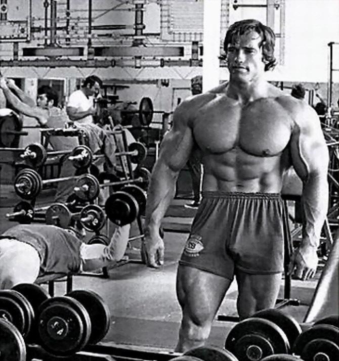 Collegiate Muscle on Twitter: Arnold Schwarzenegger 7-Time Mr. Olympia  #Bodybuilding #Classic #GoldenEra #Arnold #Training #Motivation  http://t.co/1mwEW7omoZ