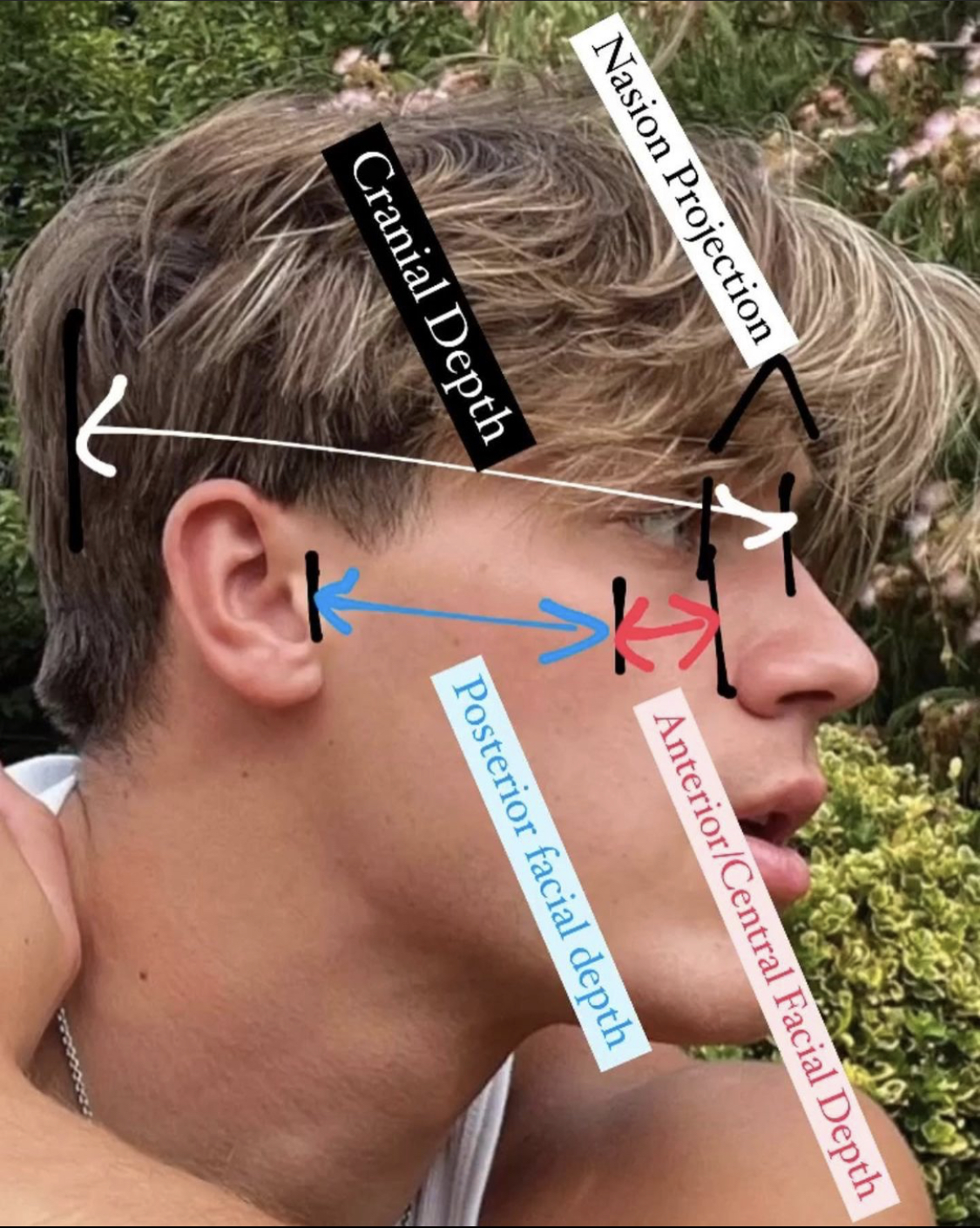 4C34EEC1 2664 445E 8236 3D78CD9917D8