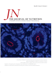 www.sciencedirect.com