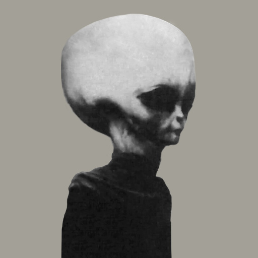 skinnybob.info
