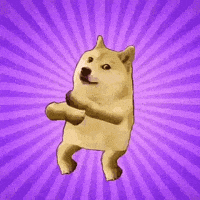 Shiba Inu Meme GIF