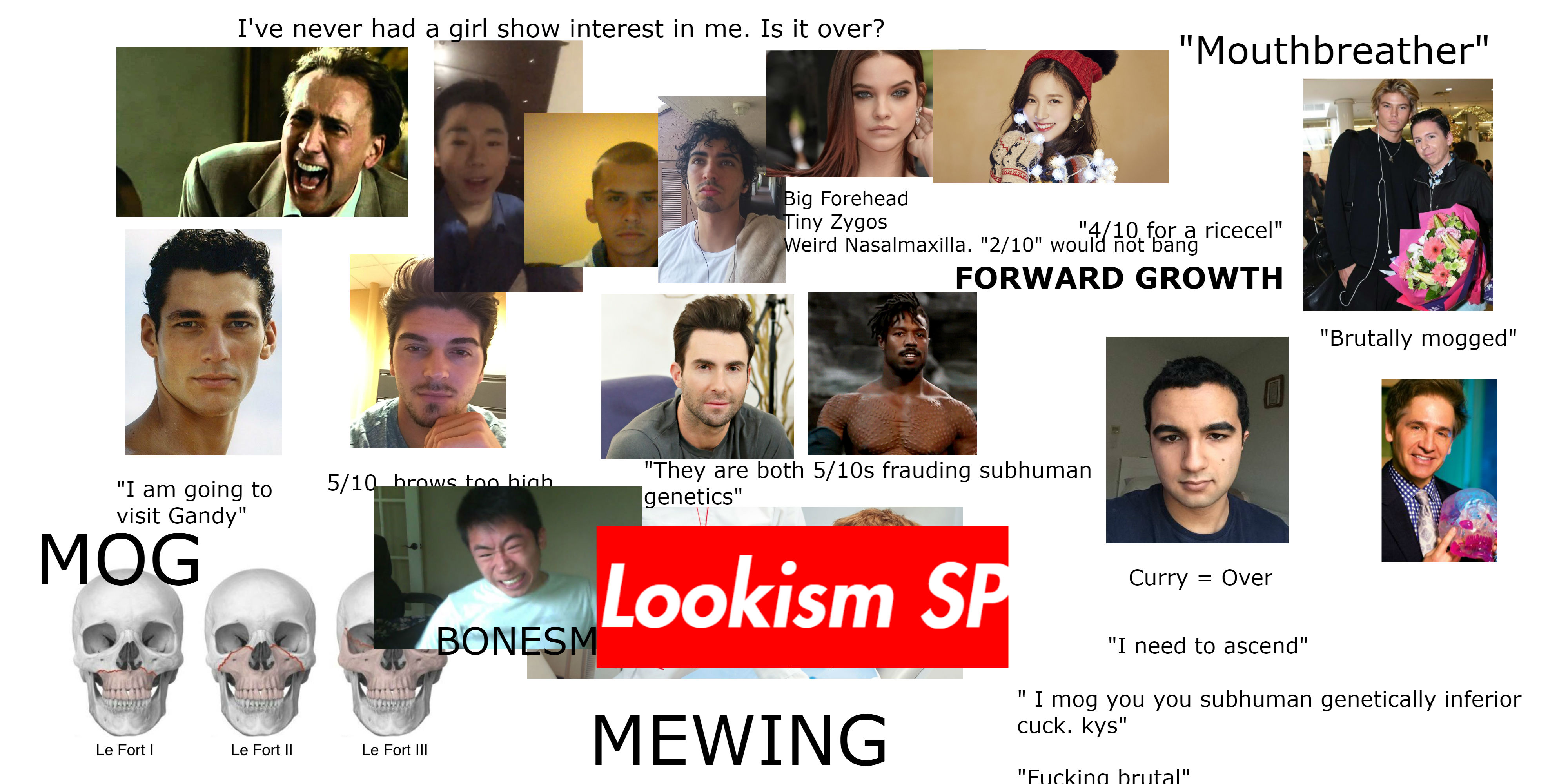 apord5znqvu11.jpg