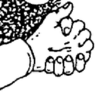 1495097972575.png