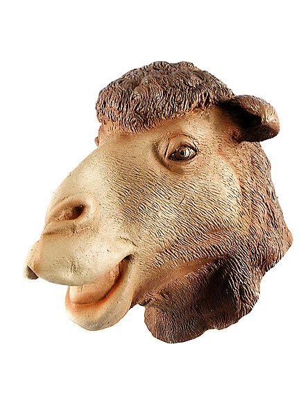 camel-mask--mw-110707-1.jpg