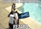 8e8.jpg