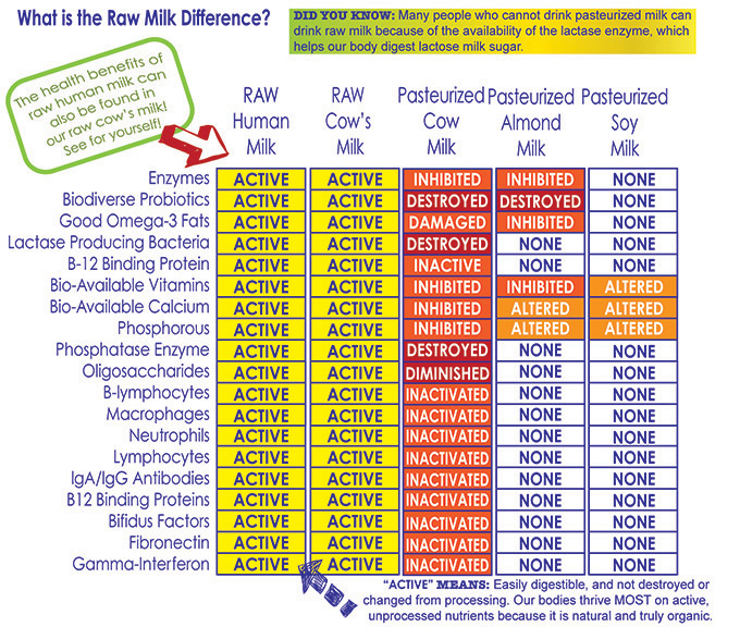 A little About Our Raw Milk – Amos Miller Organic Farm