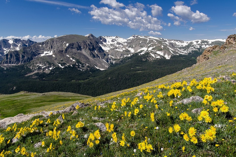 OD-BC668_COLORA_J_20140611184238.jpg