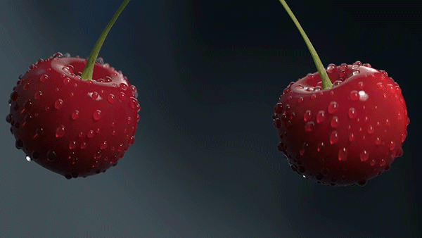 giphy-downsized-large.gif (600×338)