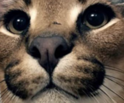 be26eb9376c1141ffb526f508f5d5f75.png